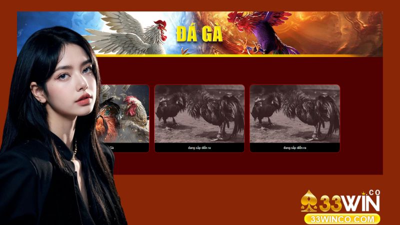 Giới thiệu sơ qua về đá gà 33Win